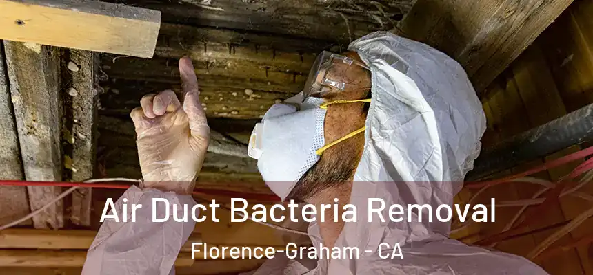 Air Duct Bacteria Removal Florence-Graham - CA