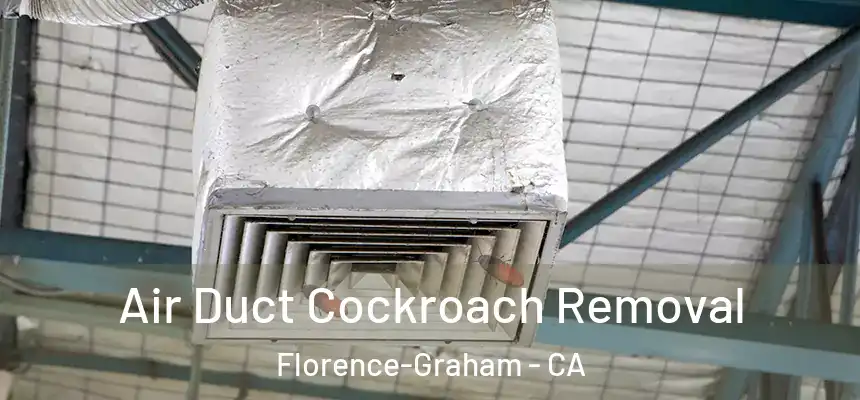 Air Duct Cockroach Removal Florence-Graham - CA
