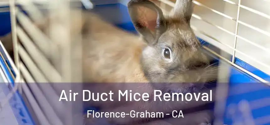 Air Duct Mice Removal Florence-Graham - CA