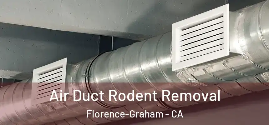Air Duct Rodent Removal Florence-Graham - CA