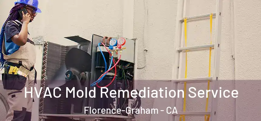  HVAC Mold Remediation Service Florence-Graham - CA