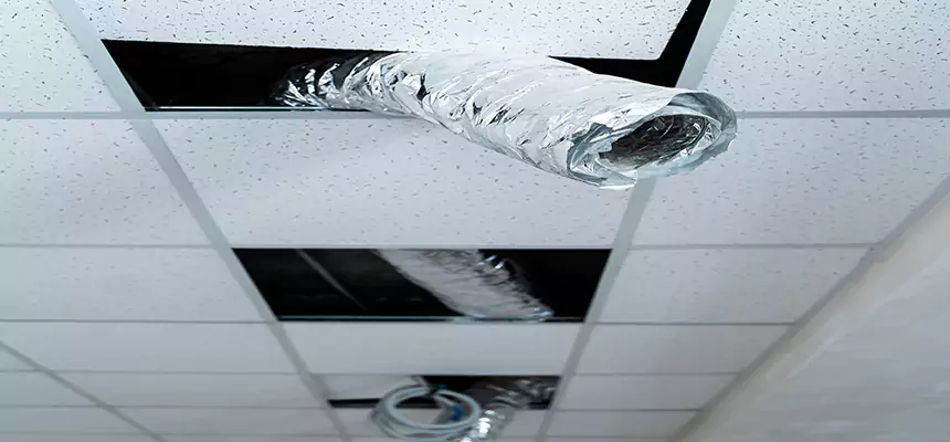 Our Air Duct Pet Hair Removal Services in Florence-Graham, CA