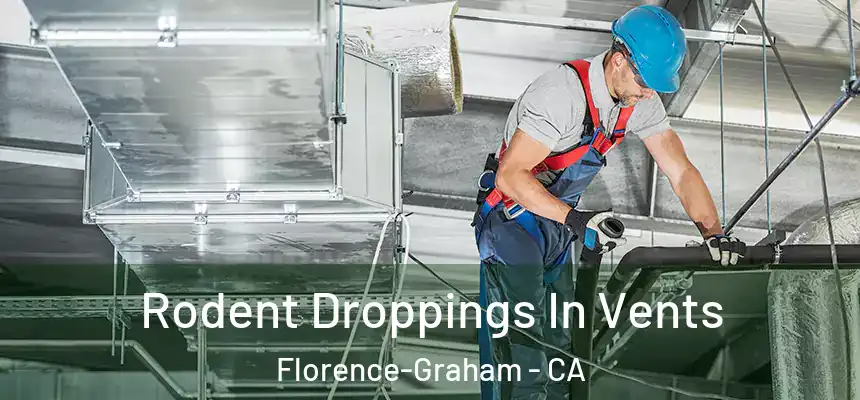 Rodent Droppings In Vents Florence-Graham - CA