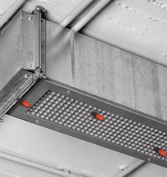 Affordable Insect Removal from Air Ducts in Florence-Graham, CA