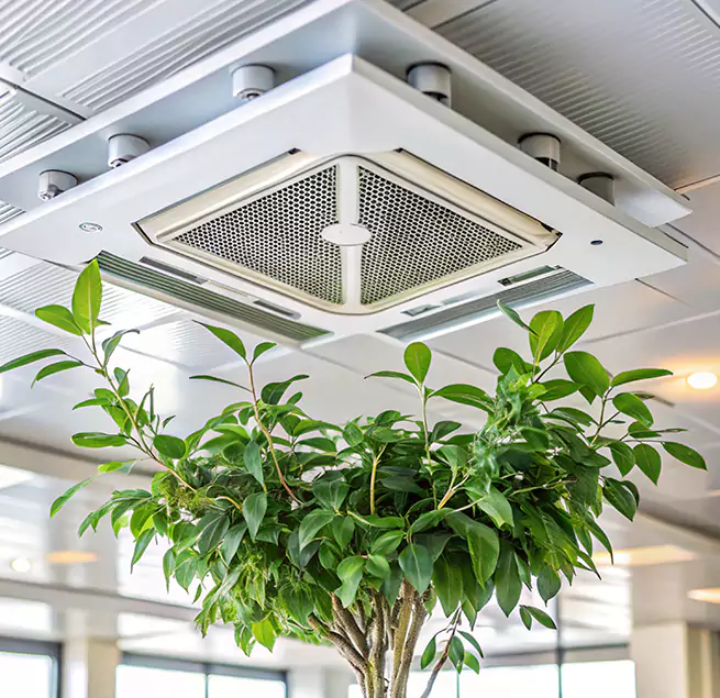 Why Homeowners & Businesses Trust Us in Florence-Graham, CA